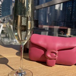 Coach Pillow Tabby 18